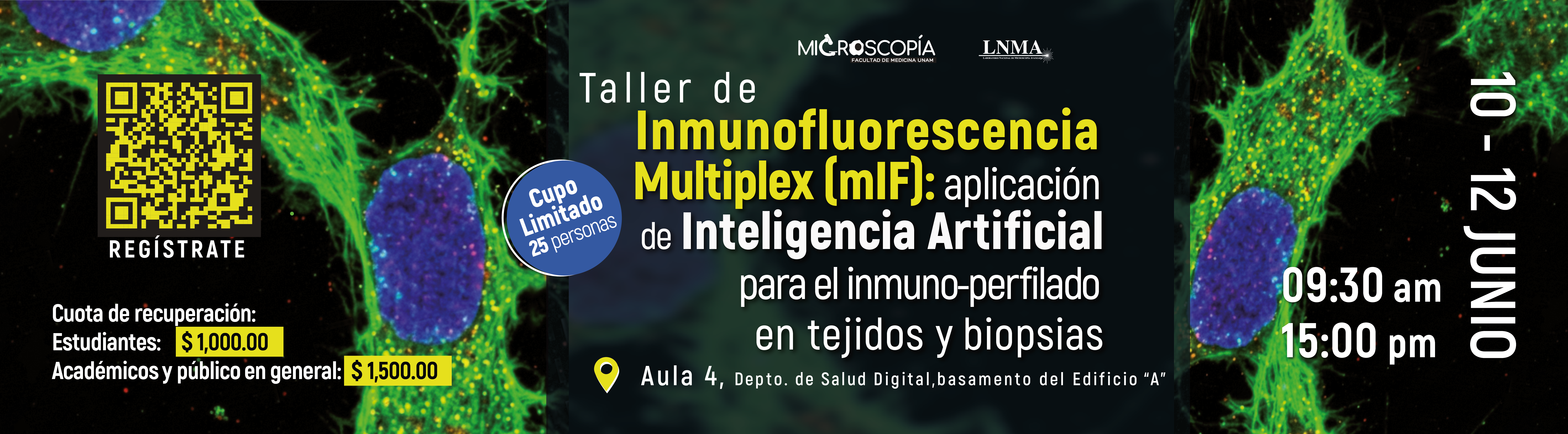 Taller mIF junio 2026